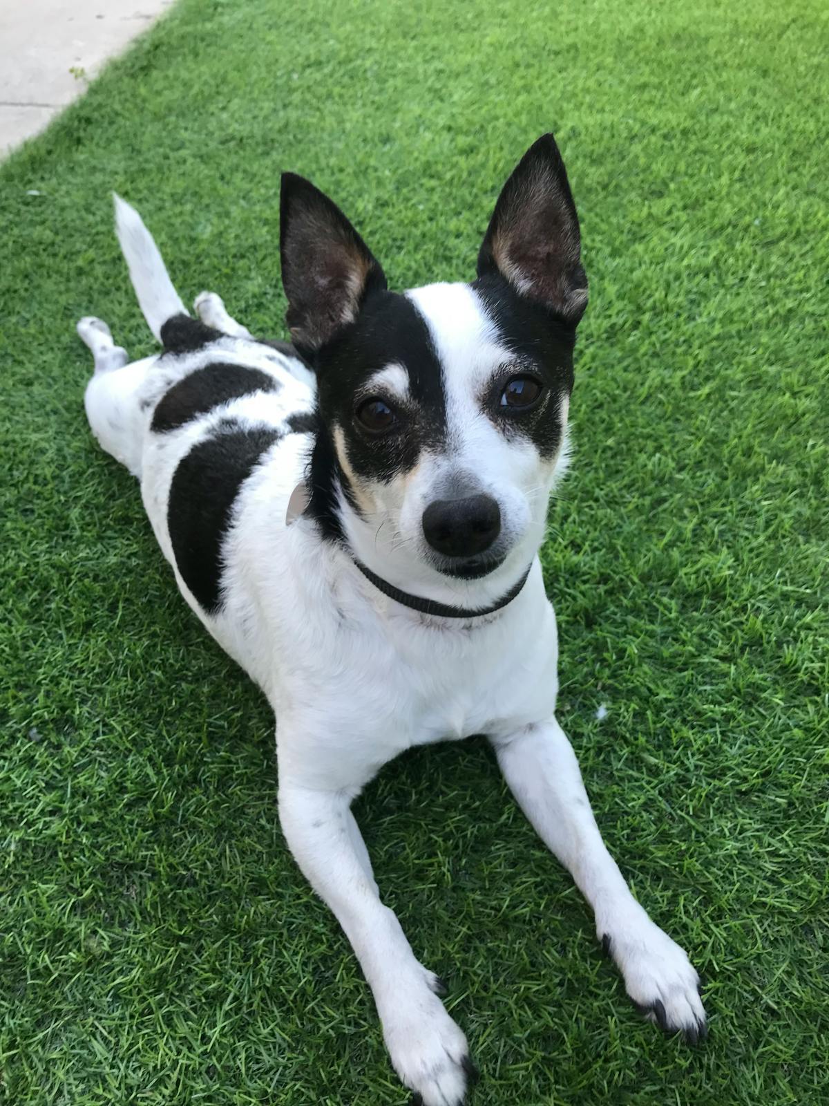 Замена крана на стояке — что нужно знать